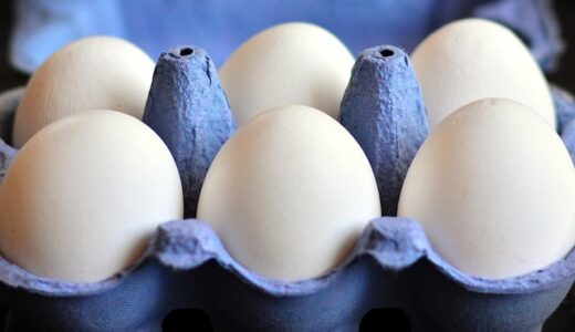 egg cartons bulk