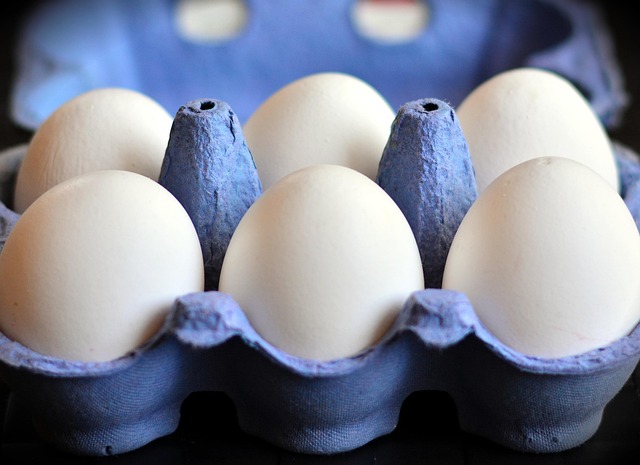 egg cartons bulk