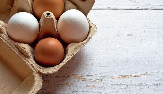 compostable packaging