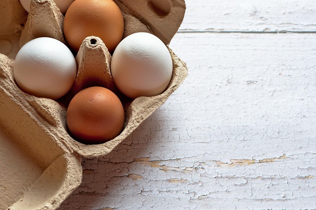 compostable packaging