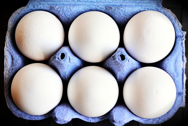 egg cartons bulk