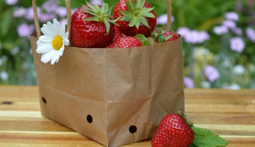 strawberries, fruit, fresh, food, harvest, organic, tasty, yummy, healthy, paper bag, bag, red fruits, berry, cute, fresh strawberry, recycled paper, eco-friendly packaging, sustainable packaging, ecological packaging
