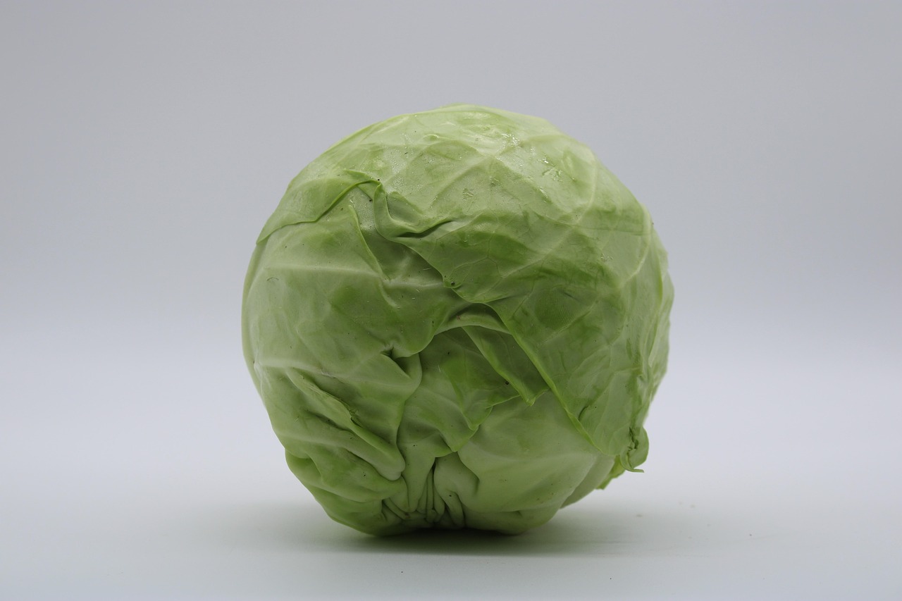 cabbage, food, vegetable, costs, cabbage, cabbage, cabbage, cabbage, cabbage