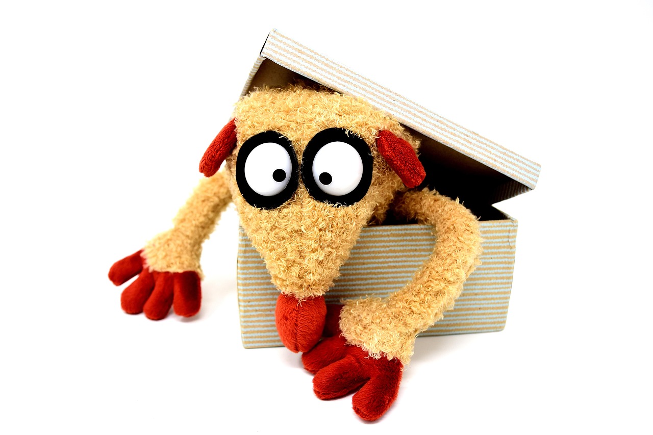 cuddly toy, carton, fun, stuffed animal, toy, open, packaging, open box, figure, cute, children, carton, carton, carton, open box, open box, open box, open box, open box