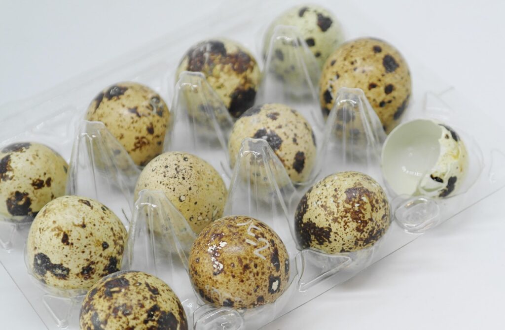egg, quail egg, hd wallpaper, windows wallpaper, shell, raw, meal, food, 4k wallpaper 1920x1080, protein, laptop wallpaper, egg yolk, breakfast, desktop backgrounds, wallpaper 4k, connoisseur, cook, easter, 4k wallpaper, close up, healthy, beautiful wallpaper, free wallpaper, kitchen, cholesterol, wallpaper hd, savory, dessert, refreshment, meal food, cool backgrounds, free background, mac wallpaper, background, packaging, plastic, cardboard, full hd wallpaper, packing material, structure, transparent