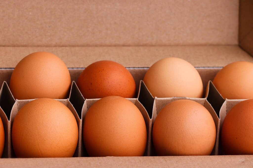 eggs, food, packaging, chicken eggs, egg carton, egg box, healthy, nutrition, organic