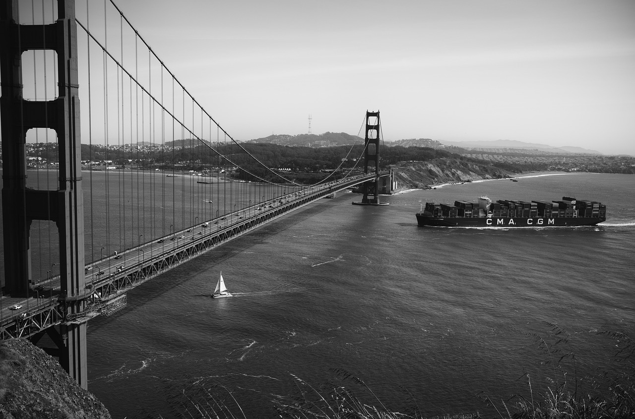 sail, sailing ship, container ship, container, transport, bridge, steel rope, black and white, container ship, container ship, container, black and white, black and white, black and white, black and white, black and white