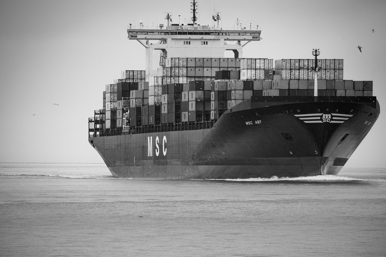 container ship, cargo ship, msc aby, shipping, captain, water transport, transportation, black and white photo, ships background, ships wallpaper, black and white, container ship, container ship, container ship, container ship, container ship, cargo ship, cargo ship