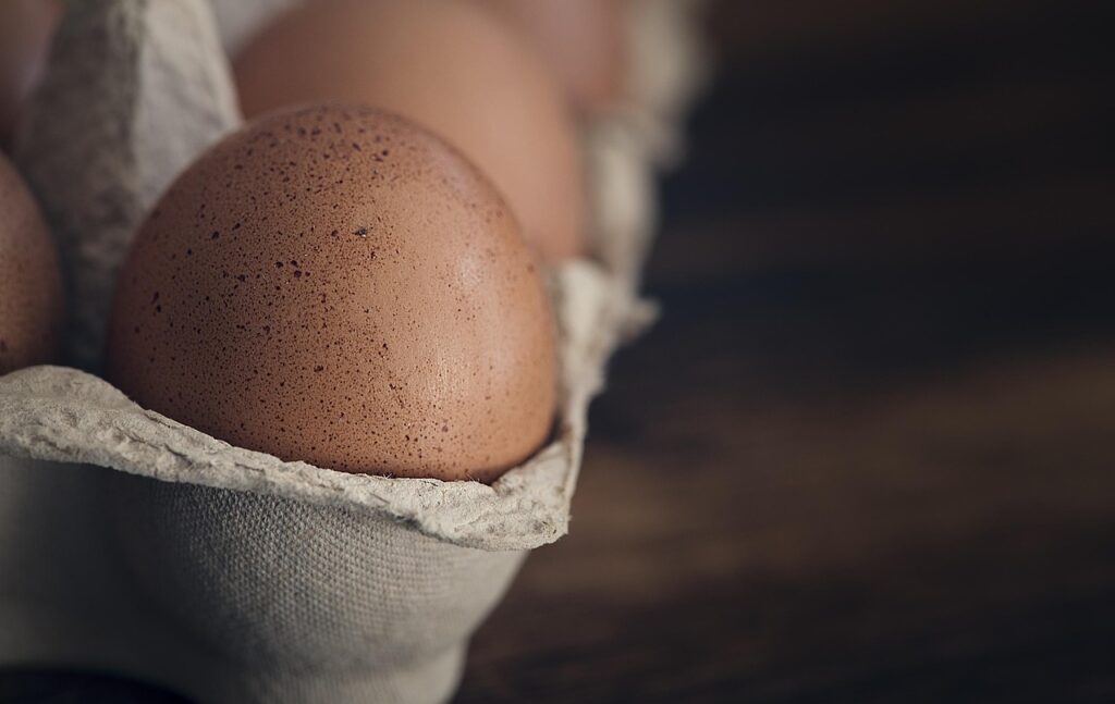 egg, hen's egg, raw egg, eggshell, egg box, egg packaging, brown egg, close up, food, nourishment, egg, egg, egg, egg, egg, raw egg