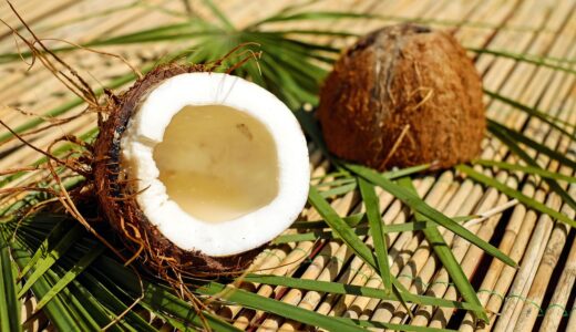 coconut, nut, shell, brown, pulp, exotic, coconut, coconut, coconut, coconut, coconut