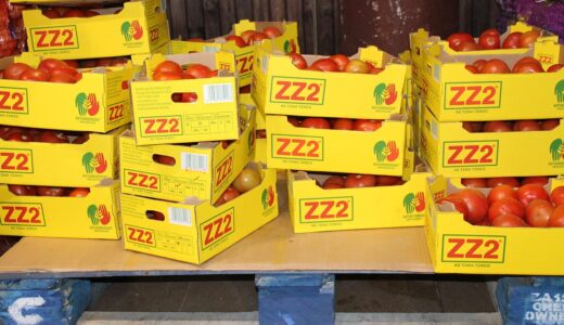 food, wood pallets, industry, wholesale, boxed tomatoes, storage, cargo holding, grocery, wholesale, wholesale, wholesale, wholesale, wholesale