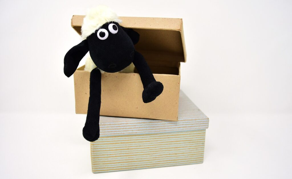 sheep, carton, box, cardboard, cardboard box, open box, open, sheep face, cuddly toy, stuffed animal, shaun, carton, box, cardboard, cardboard, cardboard, cardboard box, cardboard box, cardboard box, cardboard box, cardboard box, open box, stuffed animal, shaun, shaun