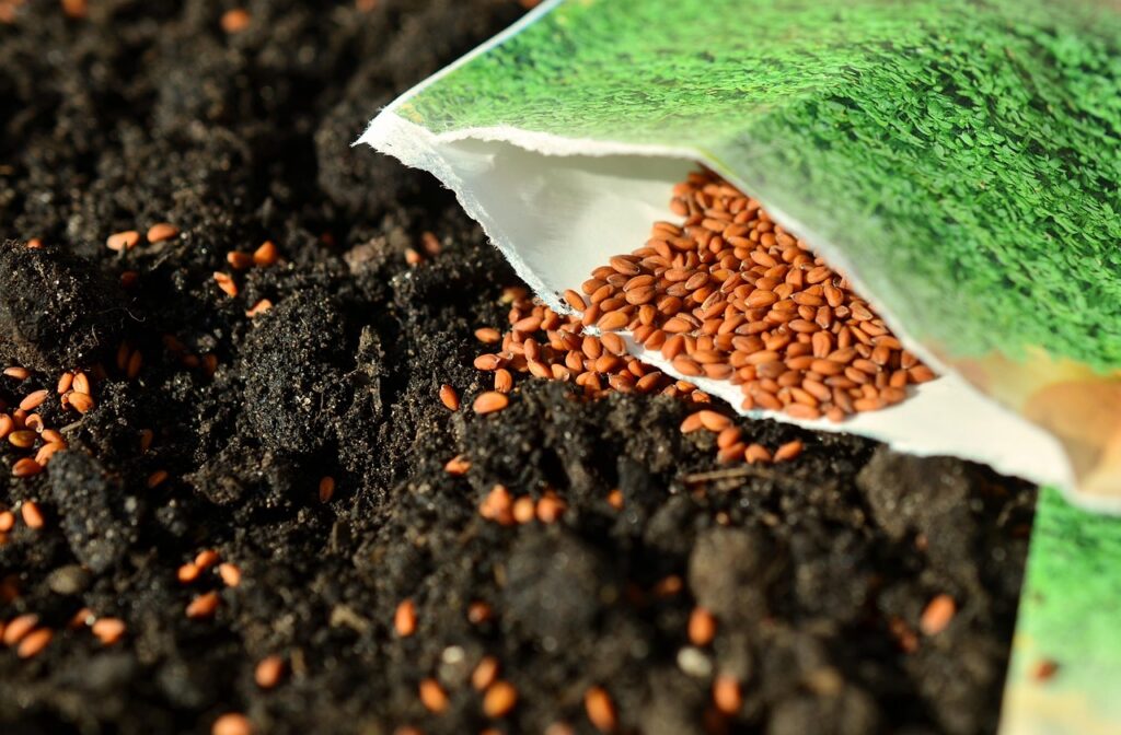 seeds, nature, sow, garden, cress seeds, gardening, garden soil, earth, seed sachets
