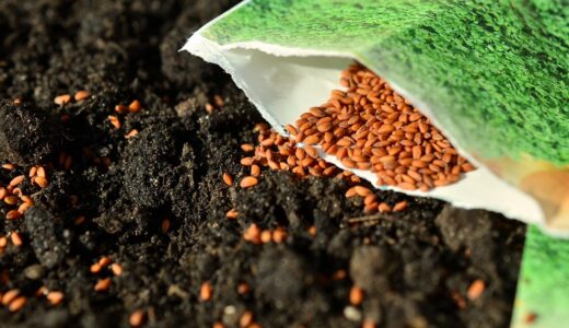 seeds, nature, sow, garden, cress seeds, gardening, garden soil, earth, seed sachets