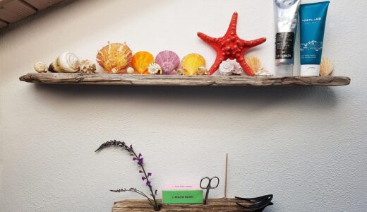 bath, shelf, driftwood, shellfish, snails, deco, scissors, sloping roof, tube, cosmetics, nail scissors, shelf, shelf, shelf, shelf, shelf, driftwood, cosmetics