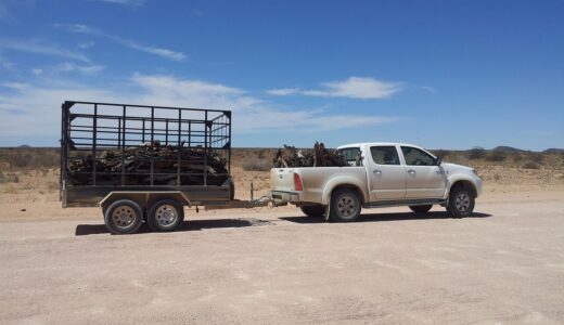 car, trailer, carrying, wood, transport, vehicle, transportation, cargo, freight, shipping, car wallpapers, road