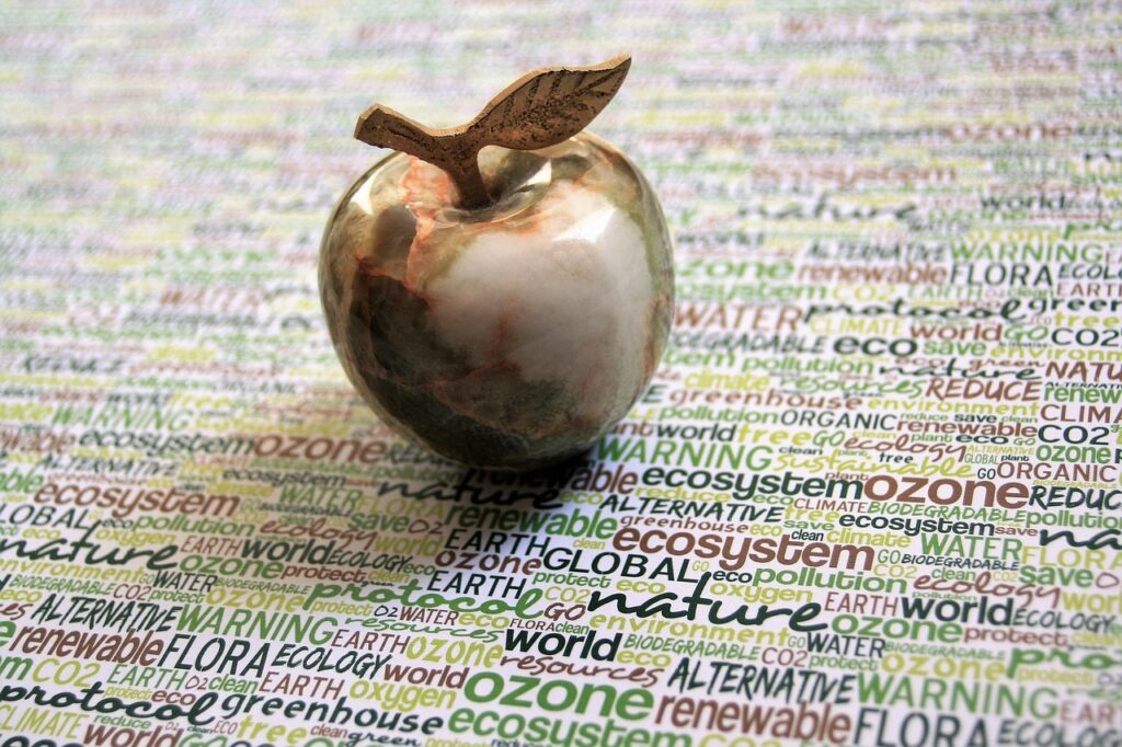 eco, agate, stone, closeup, ecology, fruit, bio, green food, apple, eco, eco, agate, agate, agate, agate, agate