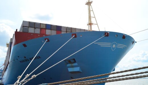container ship, freighter, shipping, bug, container ship, container ship, container ship, container ship, container ship, freighter, freighter