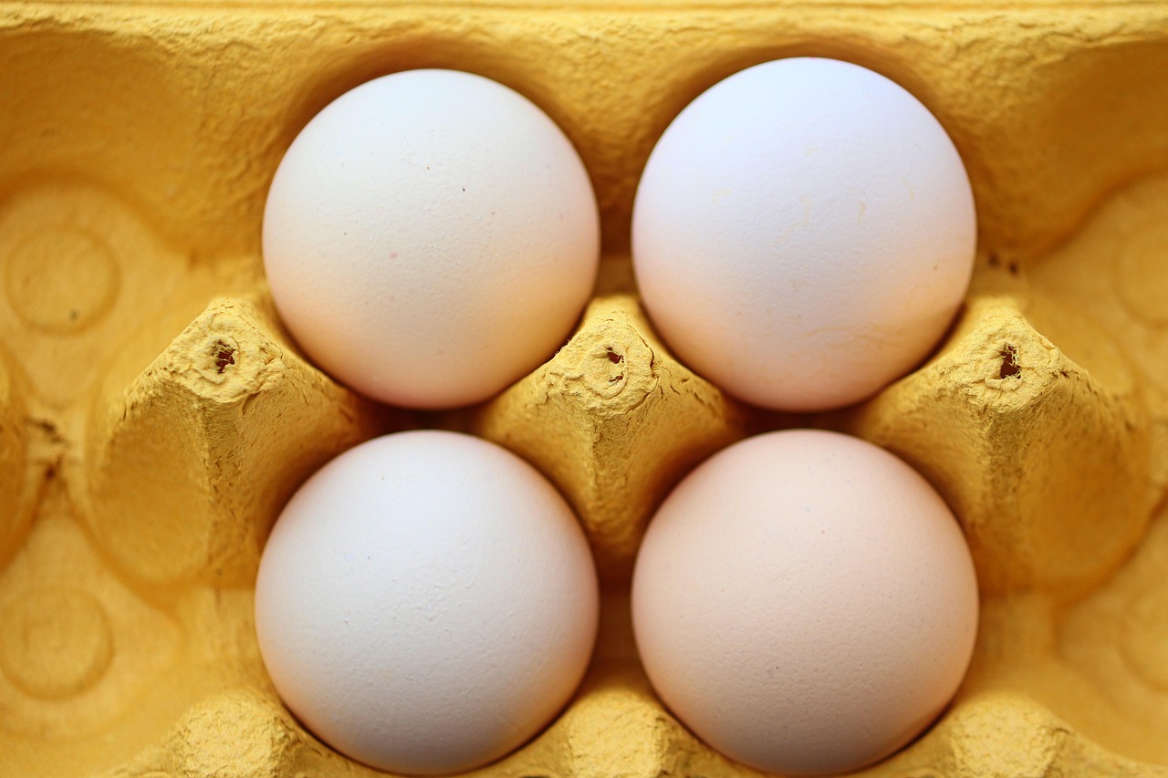 eggs, chicken eggs, food, organic, egg carton, carton, packaging, storage, close up, white eggs, food, egg carton, egg carton, egg carton, egg carton, egg carton, carton, white eggs, white eggs, white eggs
