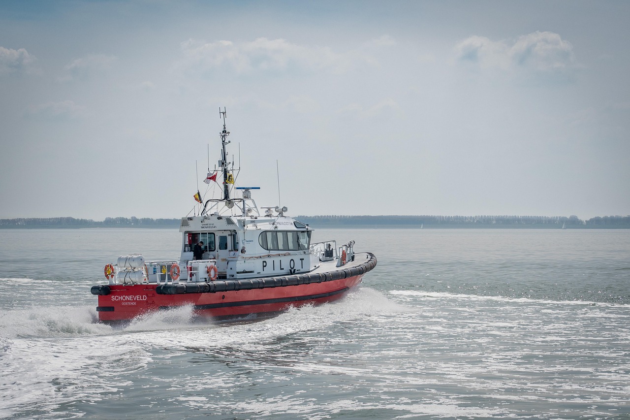 pilot boat, boat, pilotage, shipping, sailing, foggy, fast sailing, western scheldt, ships background, boats wallpaper