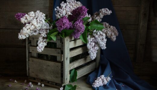 flowers, lilac, nature, box, flower wallpaper, decoration, bloom, beautiful flowers, blossom, botany, petals, flower background, macro