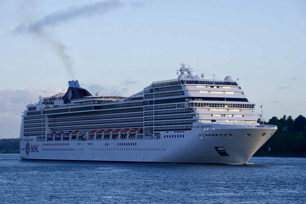 cruises, shipping, msc magnifica, cruise ship, shipping company, nature, vacations, travel, maritime, ship travel, tourism, hamburg, elbe, port, nautical, summer