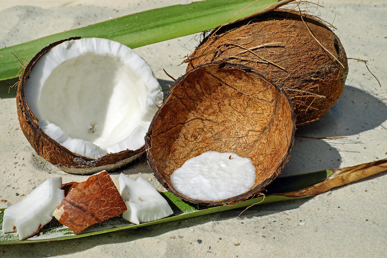 coconut, nut, shell, brown, pulp, yummy, healthy, nourishment, food, exotic, vitamins, meal, coconut, coconut, coconut, coconut, coconut