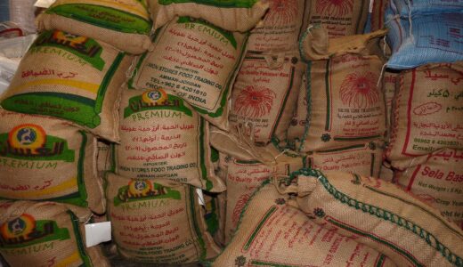 jordan, vacations, travel, middle east, spices, rice