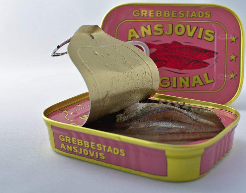 anchovy, herring, fish, nature, food, eat, can, konesrv, cleaned