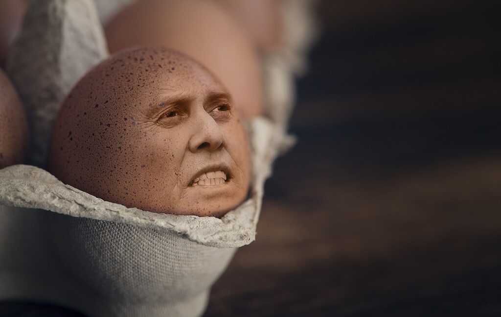 egg, iman, eggs, egg box, easter eggs, food, close up, egg carton, egg packaging, easter, freedom of text, brown eggs, chicken eggs, photoshop, manipulation, face, meal, agriculture, nourishment, brown, hen's egg, natural product, egg, egg, egg, egg box, egg box, egg box, egg carton, egg carton, egg carton, egg carton, egg carton, egg packaging, agriculture