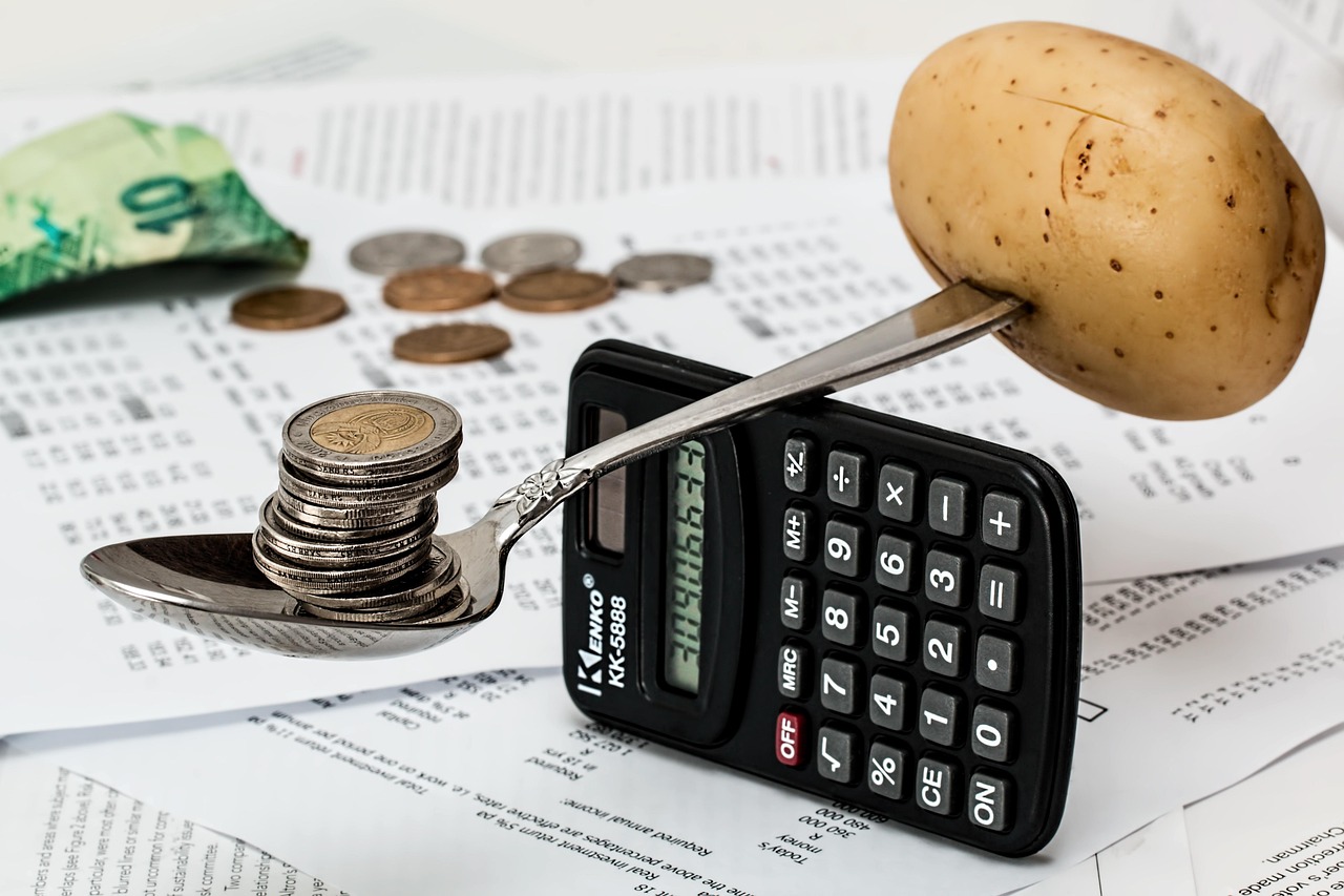 coins, calculator, budget, household budget, money, cash, currency, saving, accounting, market, calculation, earning, planning, income, finance, shopping, cost of living, inflation, spending, financial planning, save money concept, business, save money, saving money, food shopping, thrift, balance, careful, manage, budget, budget, budget, money, money, inflation, inflation, inflation, inflation, inflation