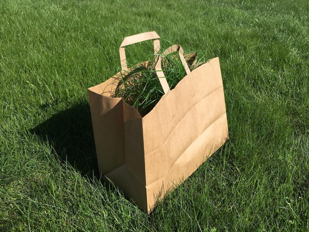 bag, grass, green, background, garden, outside, waste, brown, paper, nature, color, leaf, natural, shopping, spring, season, outdoor, package, gardening, green paper, green shopping, green shop