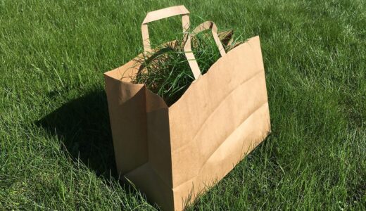 bag, grass, green, background, garden, outside, waste, brown, paper, nature, color, leaf, natural, shopping, spring, season, outdoor, package, gardening, green paper, green shopping, green shop