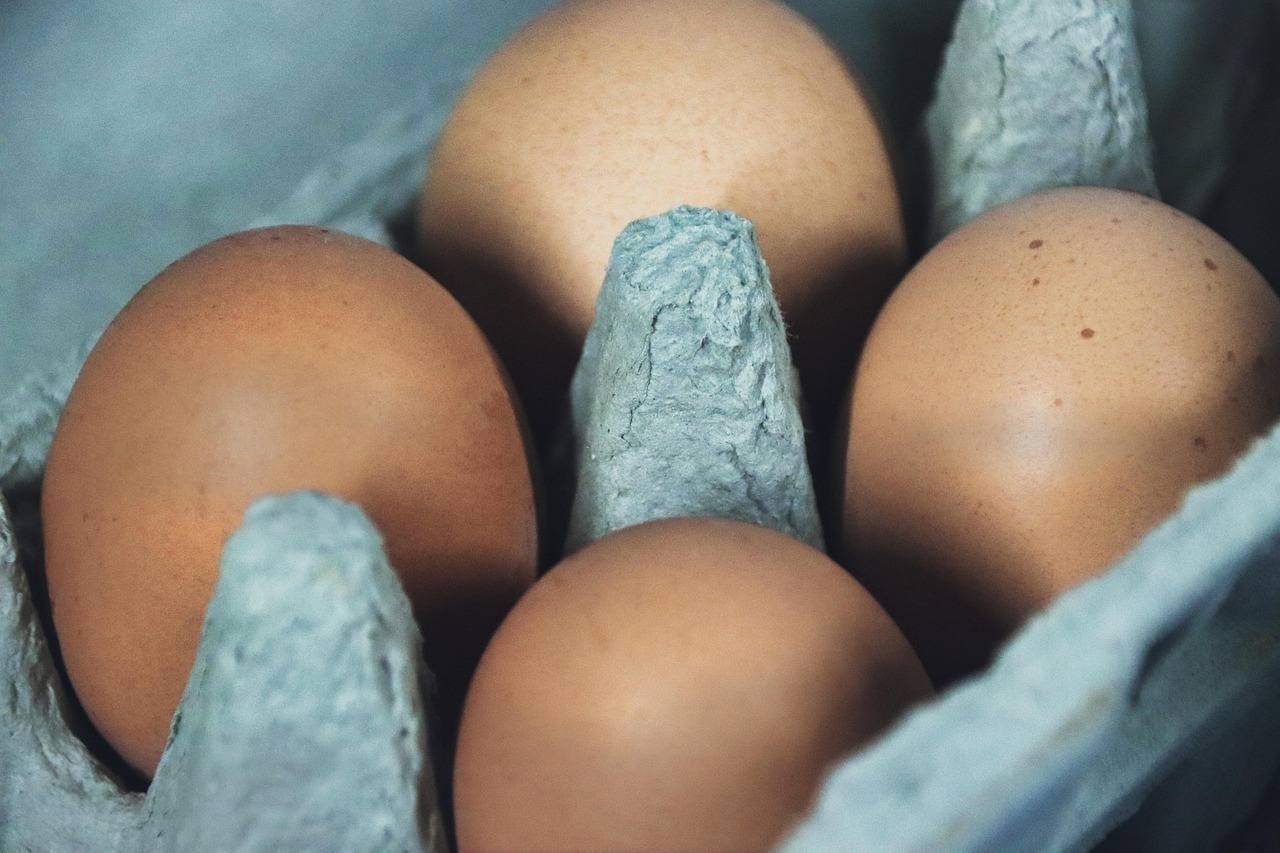 eggs, food, egg carton, egg box, protein, shell, close up