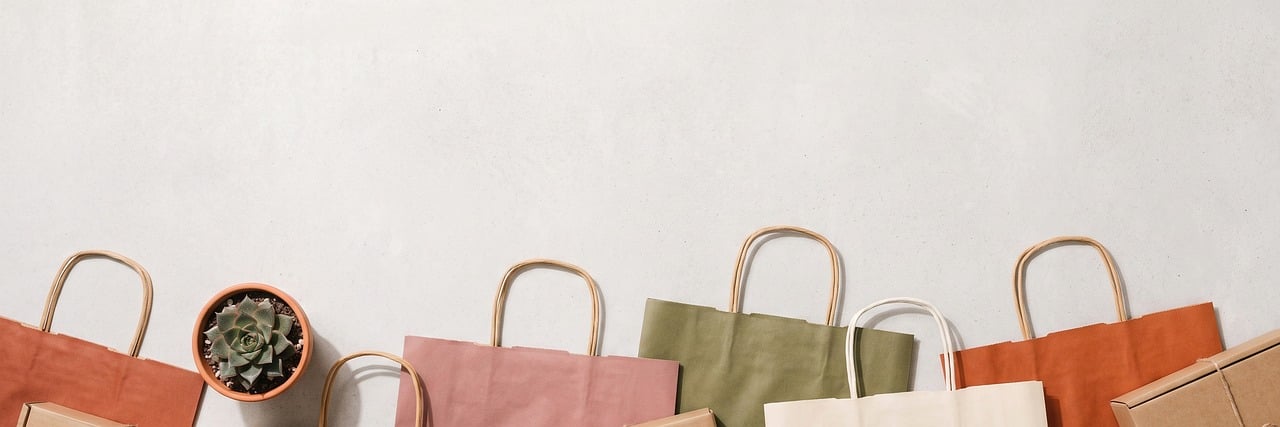 shopping bags, eco-friendly bags, paper bags, reusable bags, succulent, minimalist scene, shopping, plastic free, cactus, dam, natural materials, houseplant, brown color, desert plant, organic bags, vermiculture gardening, sustainability, rustic style, living space, decorative plant, wooden handles