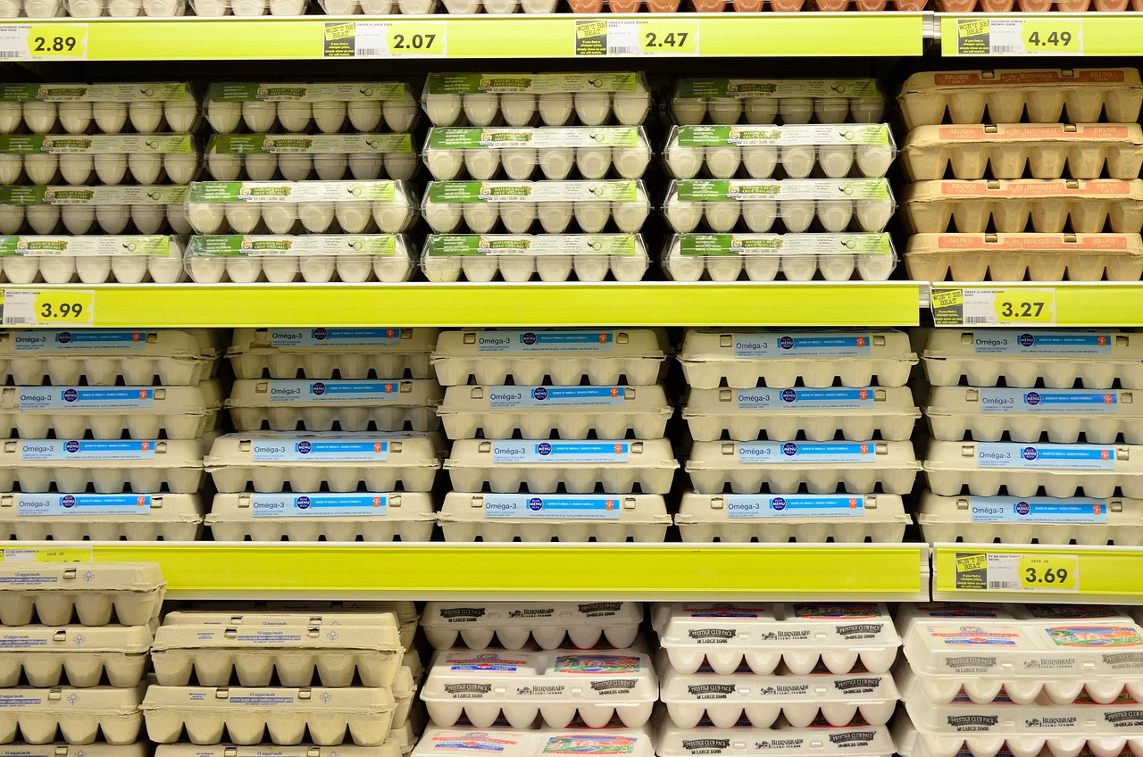 egg, supermarket, fresh, grocery store, grocery, food, ingredient, retail, organic, healthy, protein, diet, strong, bodybuilding, supermarket, supermarket, supermarket, grocery store, grocery store, grocery store, grocery store, grocery store, grocery, grocery