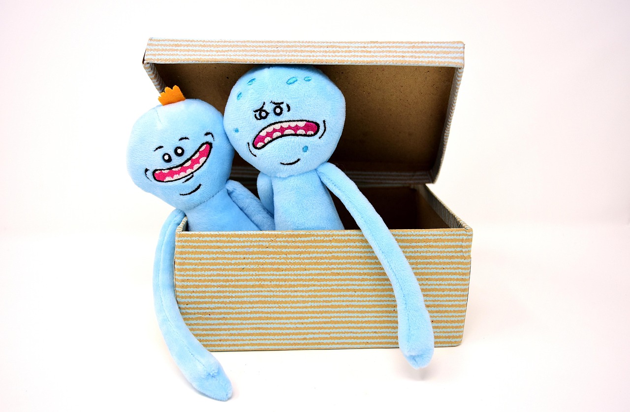 cuddly toy, stuffed animal, carton, box, plush, toy, cute, figure, fun, funny, cozy